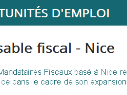 Offre d'emploi : Responsable fiscal de langue maternelle russe