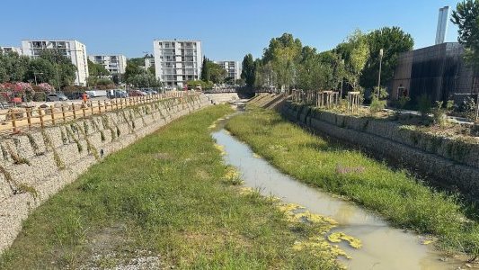 Le cours d'eau La Frayère élargi pour mieux prévenir les inondations à Cannes