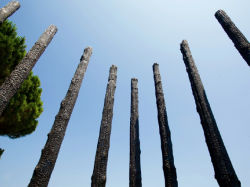 Les « Arbres Brûlés » de Philip Pastor à St Tropez : un triste écho aux récents incendies