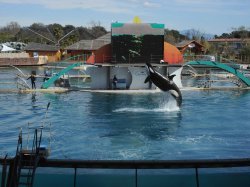 Marineland rouvre lundi