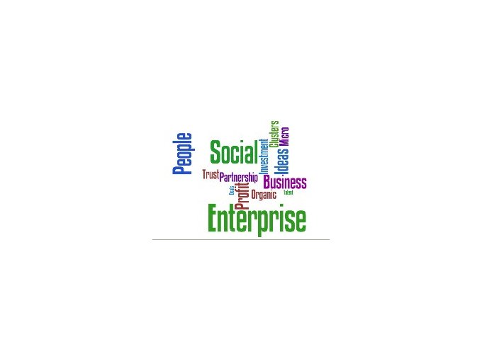 Le social business : (...)