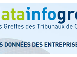 Entrepreneurs : Les données DataInfogreffe sont faites pour vous !