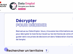 Pôle Emploi lance Data emploi, un outil d'aide à la décision pour les acteurs territoriaux 