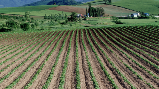 500 millions d'aides européennes pour la ruralité