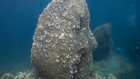 Restauration des herbiers de posidonies : la zone de l'écomusée sous-marin de Cannes en première ligne