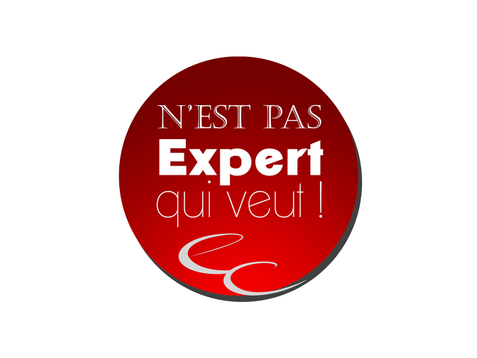 Les experts-comptables