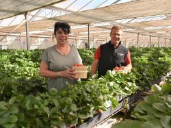 Hervé Beneventi, la qualité des fruits et légumes