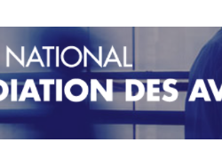 Le CNB lance le premier annuaire national des avocats médiateurs