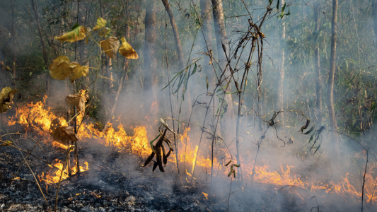 Feux de forêt : des moyens supplémentaires pour le service départemental d'incendie et de secours des Alpes-Maritimes