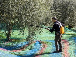 Agriculture : à la reconquête de l'espace, dans les Alpes-Maritimes !