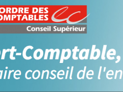 Conseils de l'Ordre des Experts-Comptables : les élections approchent !