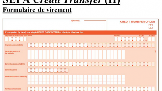 Tracfin : des arnaques parfois grossières ou souvent astucieuses qui coûtent (très) cher