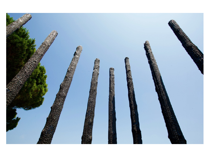 Les « Arbres Brûlés » (...)