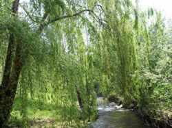 Parc du Malvan à Cagnes, inauguration le 16 juin à 11h