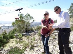  Randonnées intelligentes : Découvrez le mont Faron grâce à votre smartphone !