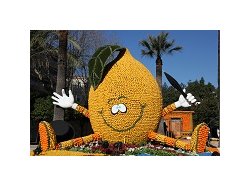 MENTON : Le bilan de la fête du Citron 