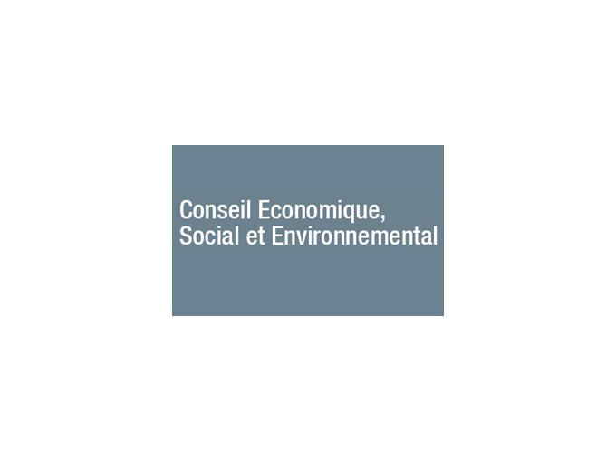 Le Conseil économique (...)