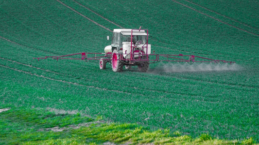 Le glyphosate, un « cancer » pour Bayer…