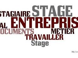 Stages en entreprise et retraites : du nouveau ! 