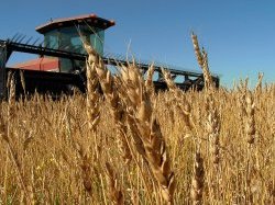 Activités commerciales et bénéfices agricoles : de nouvelles règles