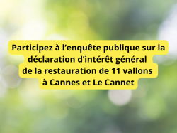 Participez à l'enquête publique sur la déclaration d'intérêt général de la restauration de 11 vallons à Cannes et Le Cannet