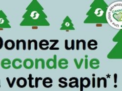 Cannes : opération de récupération et de recyclage des sapins de Noël