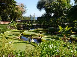 Le Festival des jardins fleurit dans tout le département