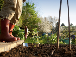 Comment mettre en place du compost ou un jardin partagé dans une copropriété ?