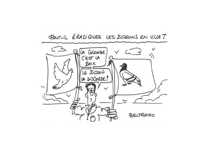 Le JJB du jour de @Beltra