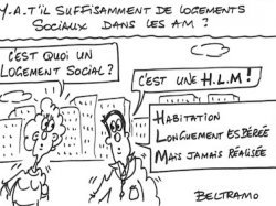 Le JJB du jour de @Beltramo