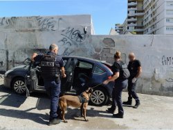 A Toulon, 9 commerces ciblés et 3 étrangers interpellés à Pontcarral