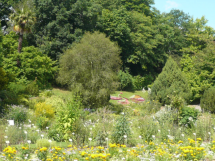 GILETTE : 182 102 € pour la création d'un jardin public de plantes anciennes