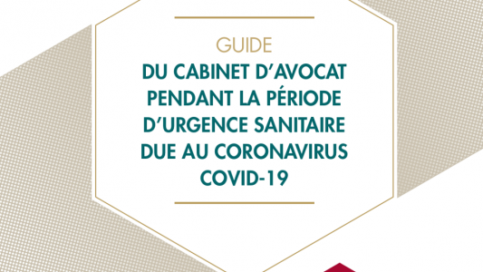 Covid : Le CNB a édité un "Guide de l'avocat confiné" qui compile les conseils pour les avocats en temps de crise