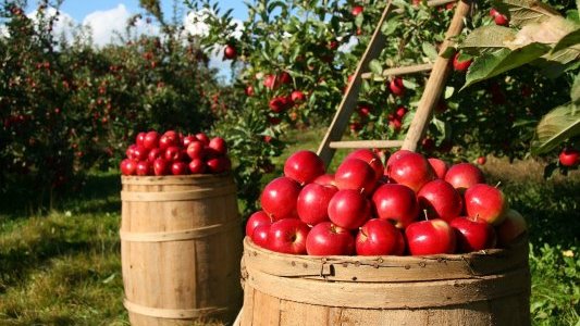 Lancement d'un appel à projets pour favoriser l'autonomie et la résilience de l'industrie française