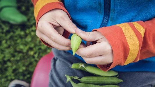 Gîtes de France lance un appel à soutenir la filière agricole française et les circuits courts