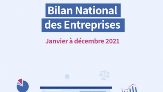 Bilan National des Entreprises des greffiers des tribunaux de commerce : L'entrepreneuriat français révolutionné par la crise sanitaire