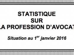 Statistiques 2015 sur la profession d'avocat