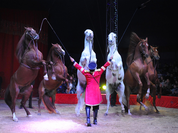 Cirque : la magie s'insta