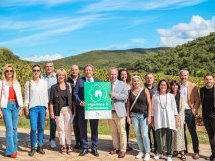 Méditerranée Porte des Maures, un territoire viticole d'exception