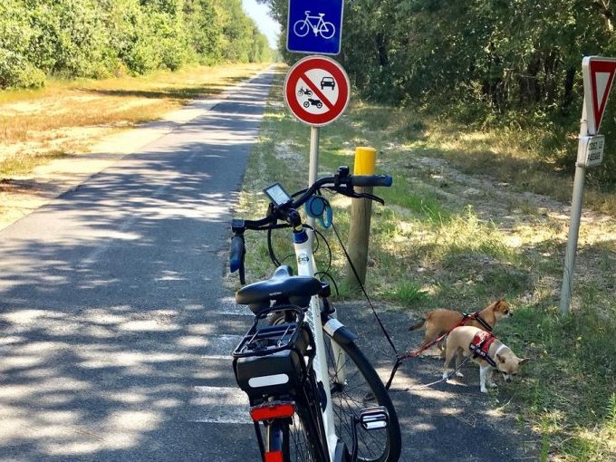 En région Sud, les tourist