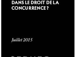 Etude EDHEC / Le Fair Play Financier dans le football professionnel ou comment favoriser les clubs établis et réduire la qualité des résultats sportifs