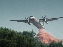 Feux : l'Europe vole au secours de la forêt