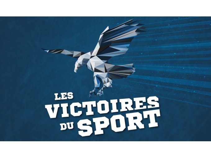 Votez pour vos champions