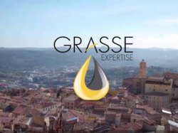 "Grasse perspective" : une marque collective