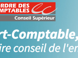 Résultats des élections au Conseil supérieur de l'ordre des Experts-Comptables