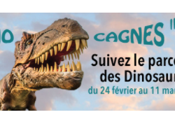 La Fédération des Associations de Commerçants et Artisans de Cagnes sur Mer : des actions engagées pour les commerces cagnois !