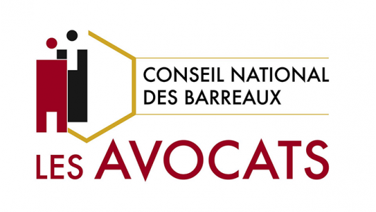 Secret des avocats : le CNB tire à boulets rouges !