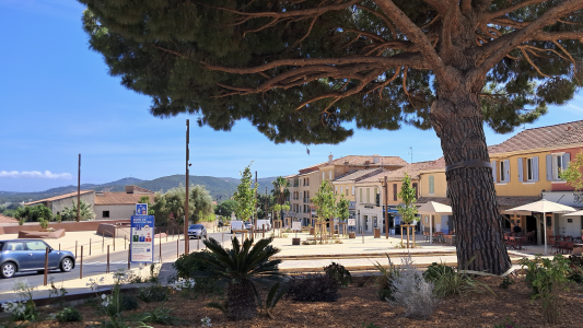 À Bormes-les-Mimosas, Le Pin de Bormes, place centrale du village