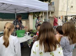 Au Luc-en-Provence, succès pour la journée à la ferme !