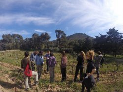 A Hyères, la crise sanitaire a changé la donne touristique